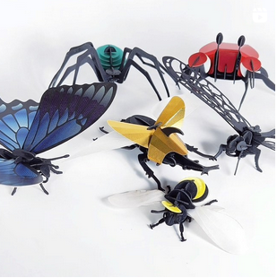 Paper Bugs