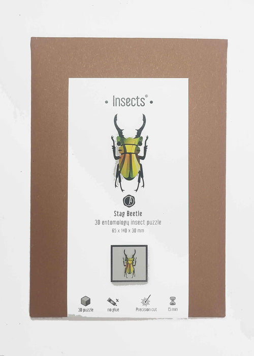 Paper Stag Beetle Small