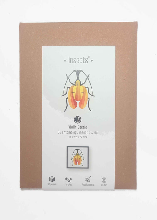 Paper Violin Beetle