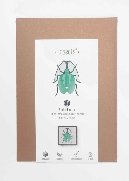 Paper Violin Beetle