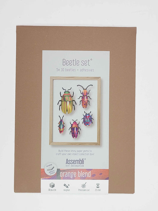 Paper Beetle Collection
