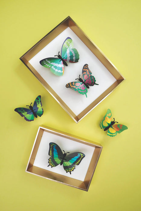 Paper Butterfly Set - Papier Plume