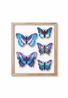 Paper Butterfly Set - Papier Plume