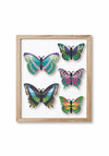 Paper Butterfly Set - Papier Plume