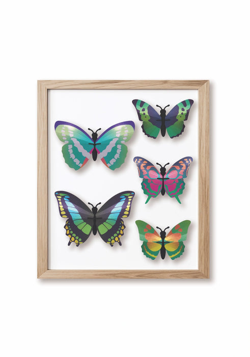 Paper Butterfly Set - Papier Plume