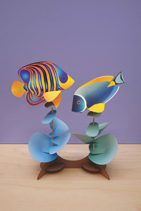 Fish Duo: Powder Tang & Regal Angelfish - Papier Plume