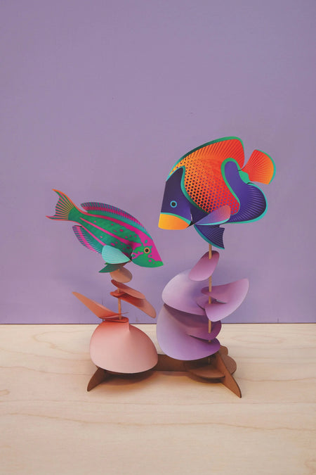 Fish Duo: Rainbow Wrasse & Majestic Angelfish - Papier Plume