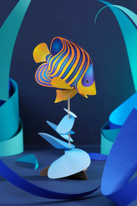 Paper Regal Angelfish - Papier Plume