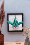 Assembli-Hercules-Beetle-car-green-frame