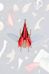 Assembli Paper Hercules Beetle craft in large size with detailed wings and body, perfect for educational and creative projects.