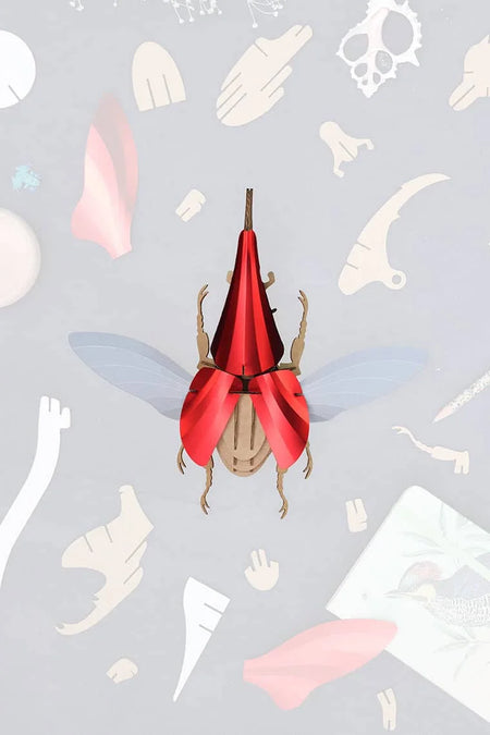 Assembli Paper Hercules Beetle craft in large size with detailed wings and body, perfect for educational and creative projects.
