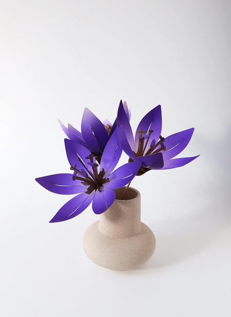 Paper Flowers - Papier Plume
