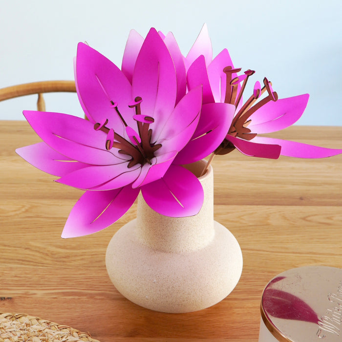 Paper Flowers - Papier Plume