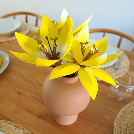 Paper Flowers - Papier Plume