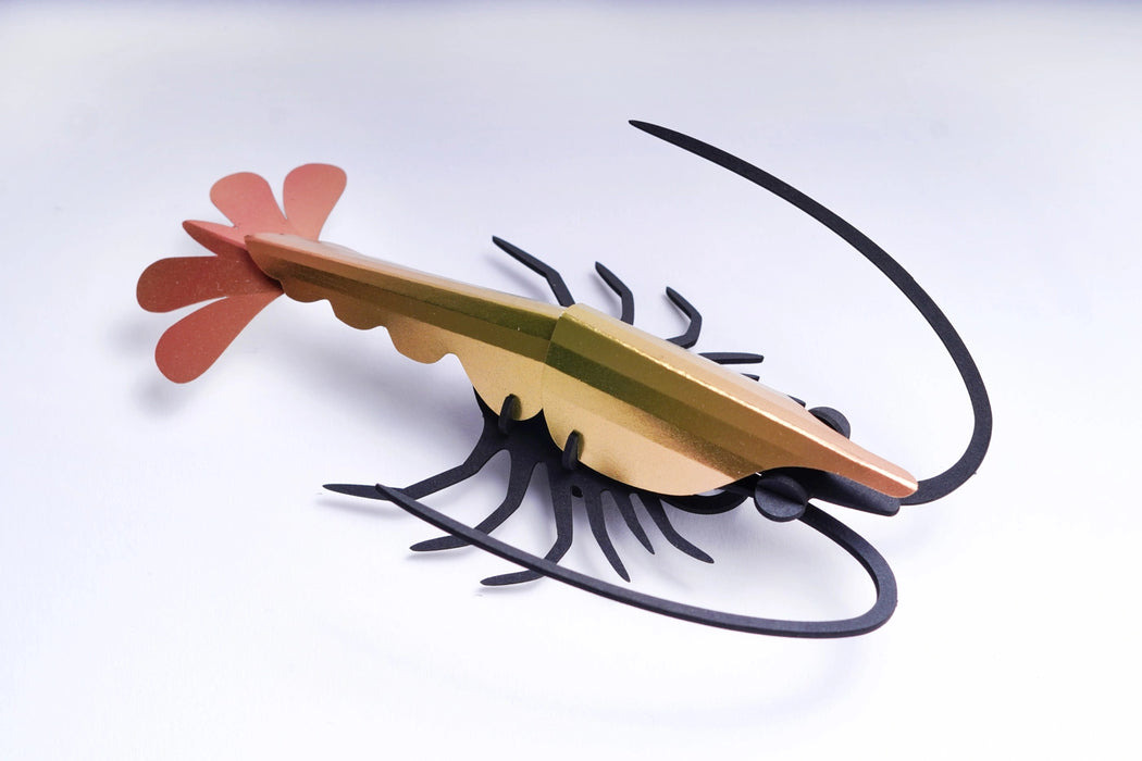 Paper Shrimp