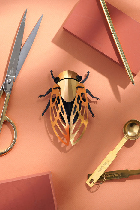 Paper Cicada