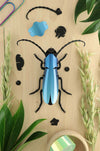 Assembli-rosalia-beetle-blue-low