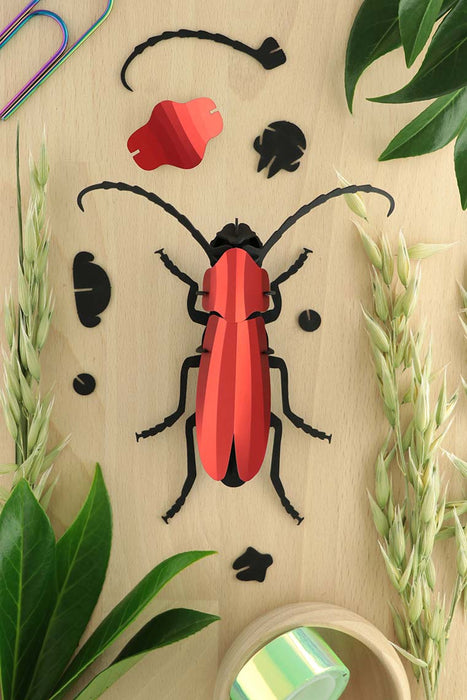 Assembli-rosalia-beetle-red-low