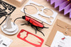 Assembli-rosalia-beetle-red-puzzle