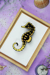 Assembli-seahorse-gold-in-frame2