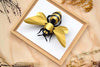Assembli_Giant_Honey_Bee in frame