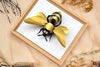 Paper Giant Honey Bee - Papier Plume