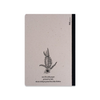Rossi - Bear Journal - Papier Plume