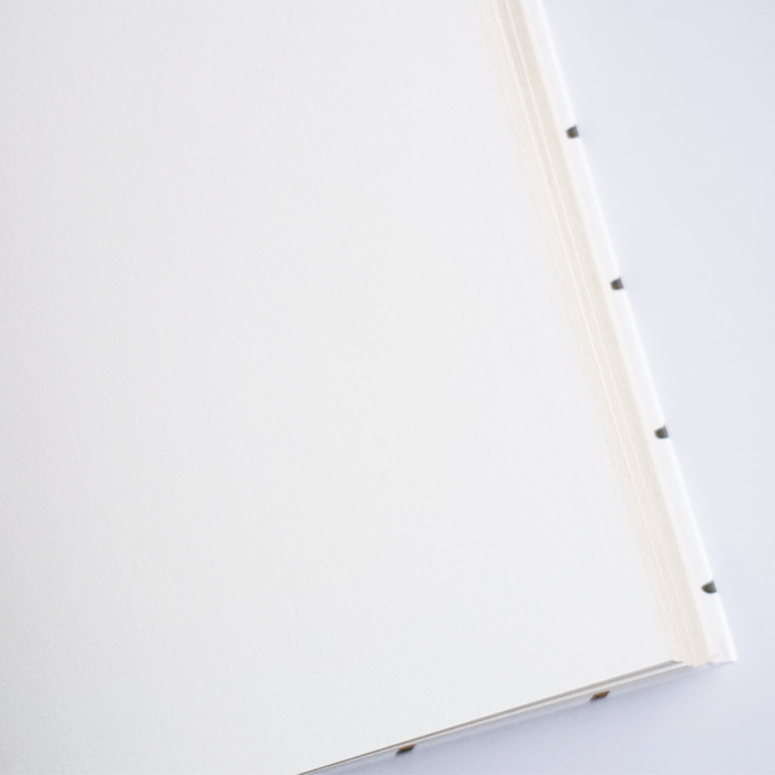 Rossi - Cat Journal - Papier Plume