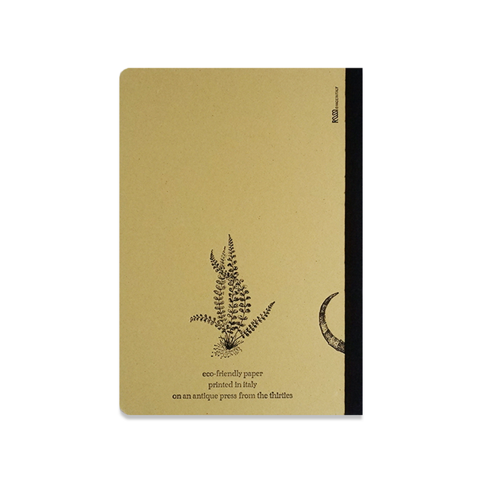 Rossi Chameleon Journal with a vibrant, colorful cover featuring a chameleon design and lined pages for writing.