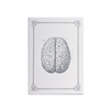 Rossi soft cover stitched journal featuring a detailed human brain illustration on the A5-sized cover.
