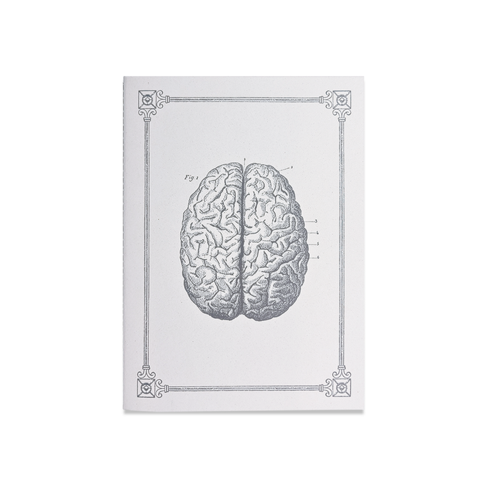 Rossi soft cover stitched journal featuring a detailed human brain illustration on the A5-sized cover.