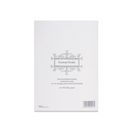 Rossi soft cover stitched journal featuring a detailed human brain illustration on an A5 size page.