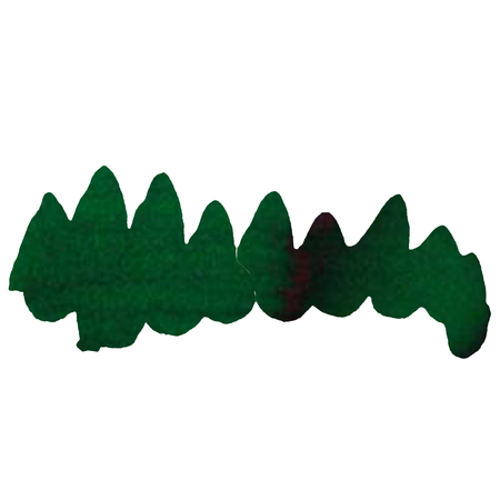 Bottle of Papier Plume Ivy Green fountain pen ink with a clear label, showcasing the ink's vibrant green color and elegant packaging.