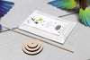 Assembli DIY Table Display Wood