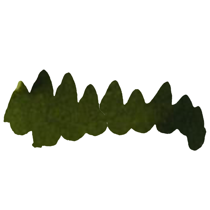 Papier Plume Moss Green fountain pen ink bottle with a clear label and ink inside, suitable for writing and calligraphy.