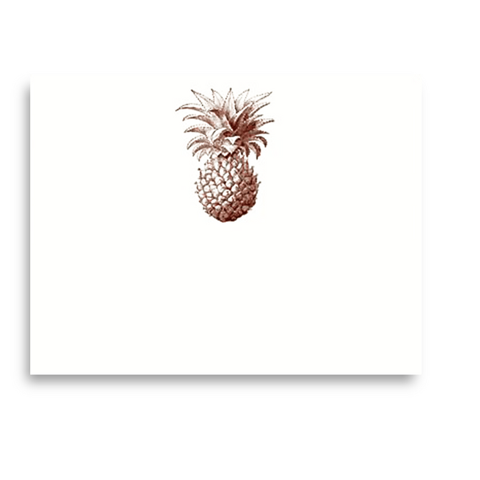 Alexa Pulitzer - Pineapple - A2 Notes