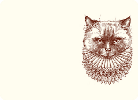 Alexa Pulitzer - Madam Kitty A6 Notes - Papier Plume