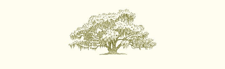 Alexa Pulitzer Oak Tree A6 Note featuring elegant, eco-friendly paper in a compact size perfect for notes and journaling.