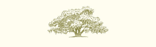 Alexa Pulitzer Oak Tree A6 Note featuring elegant, eco-friendly paper in a compact size perfect for notes and journaling.