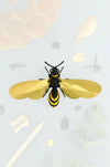 Paper Wasp - Papier Plume
