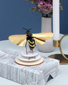 Paper Wasp - Papier Plume