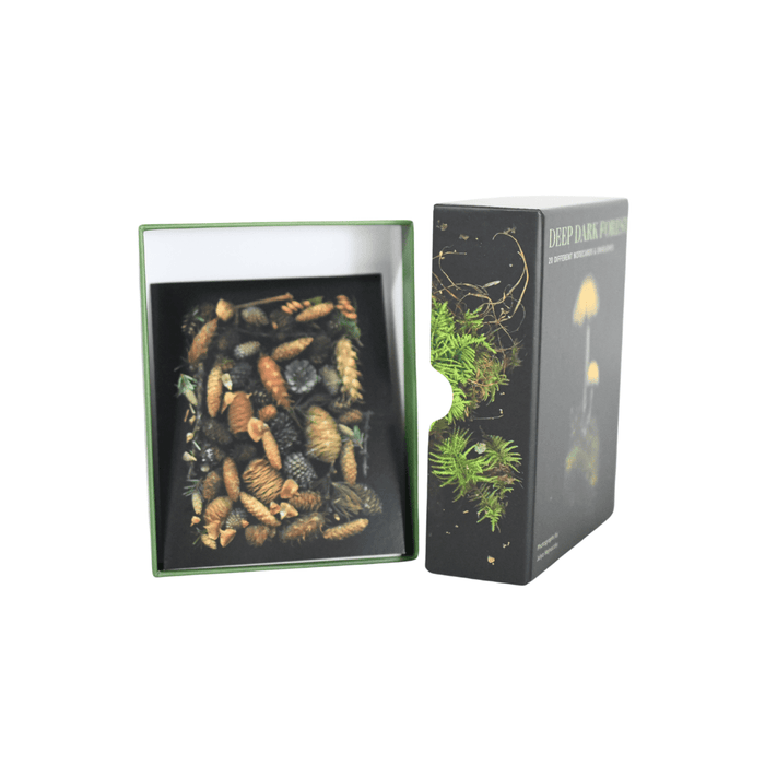 Deep Dark Forest notecards and envelopes featuring dark, woodland-inspired floral designs for elegant letter writing.