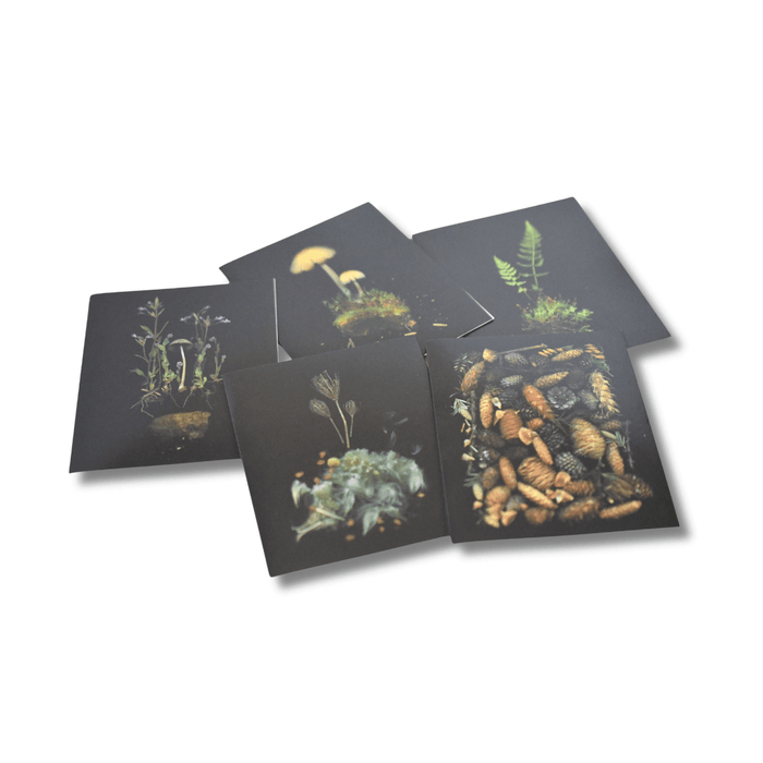 Deep Dark Forest notecards and envelopes featuring dark, woodland-inspired designs on paper for elegant handwritten messages.