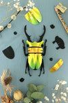 Small Paper Stag Beetle craft by Assembli in Caribbean green metallic paper, showcasing detailed insect design.