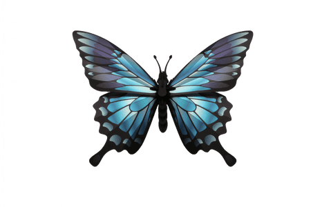 Paper Blue Mountain Butterfly - Papier Plume