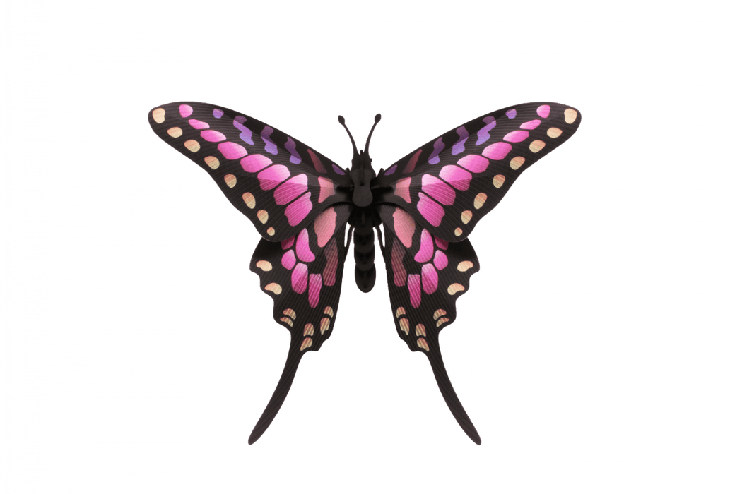 Paper Common Swordtail Butterfly - Papier Plume