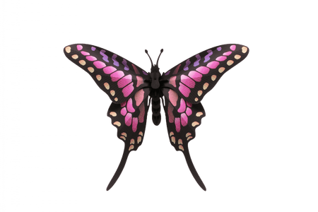 Paper Common Swordtail Butterfly - Papier Plume