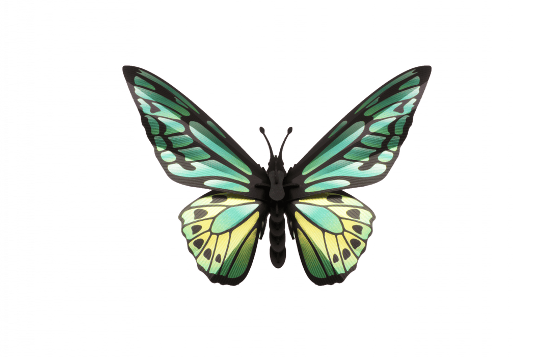 Green paper birdwing butterfly craft from Assembli featuring detailed paper wings and vibrant green color.
