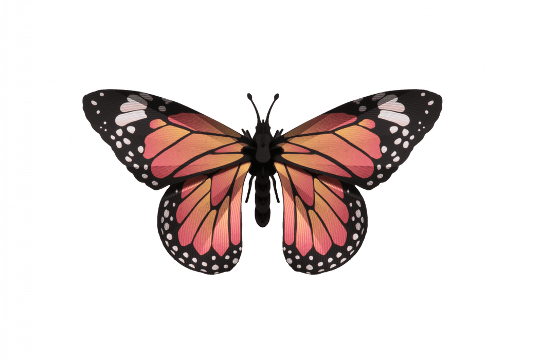 Paper Monarch Butterfly - Papier Plume