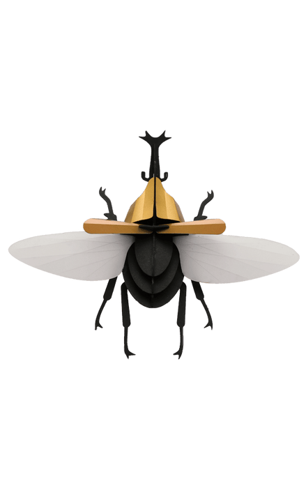 Paper Rhinoceros Beetle craft by Assembli featuring detailed paper construction and vibrant colors on a white background.